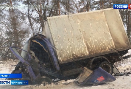 Два водителя пострадали в ДТП под Муромом