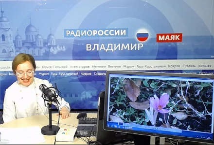 Вечером у микрофона. 4 июня 2020