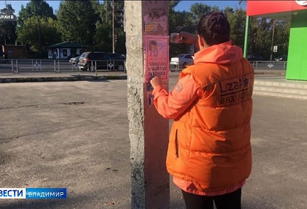 Владимирские волонтеры рассказали, как велись поиски пропавшей девочки