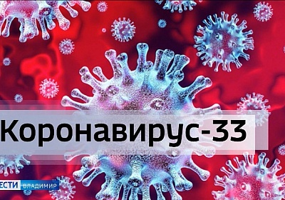 Во Владимирской области за сутки подтверждено 184 случая коронавируса