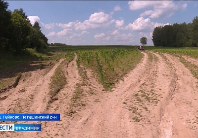 Жители деревни в Петушинском районе не могут добраться до своих домов