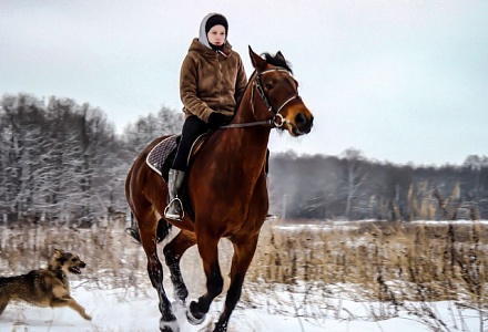 Владимирцы отметят Международный день молодежи онлайн-выставкой