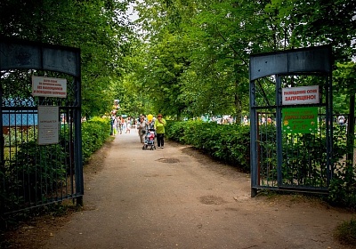 В парке "Добросельский" Владимира построят спортивный комплекс