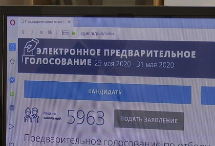 Во Владимире в предварительном голосовании примут участие 80 кандидатов