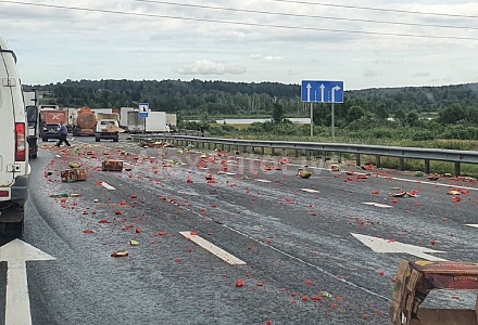 Арбузы блокировали движение на дороге во Владимирской области