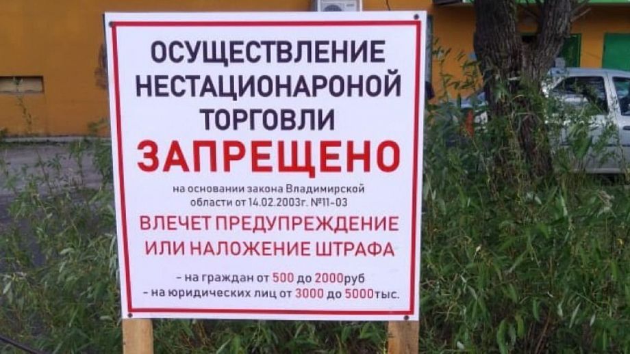 На защиту граждан встали активисты ОНФ