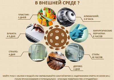 Владимирцам рассказали, сколько живет коронавирус на разных поверхностях